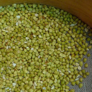 丸抜き 1kg